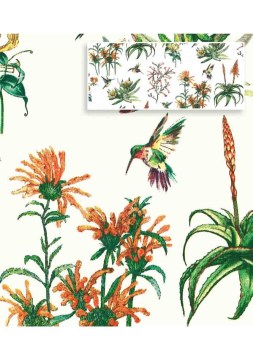 FYNBOS & SUGARBIRD (2)